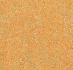 Линолеум Forbo Marmoleum Decibel on Order 384735 golden saffron фото 1 | FLOORDEALER